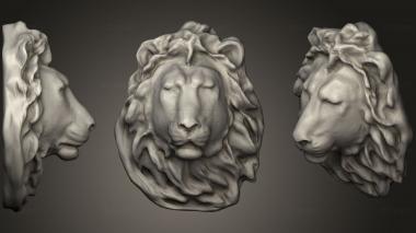 3D модель Lion Head Lp (STL)